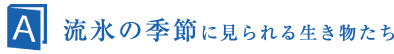 X̋G߂Ɍ鐶̂