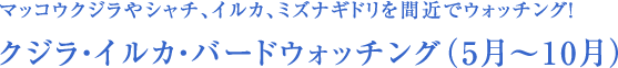 }bRENWV`ACJA~YiMhԋ߂ŃEHb`OINWECJEo[hEHb`Oi5`10j