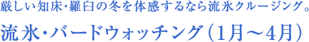 厳しい知床・羅臼の冬を体感するなら流氷クルージング。流氷・バードウォッチング（1月～4月）