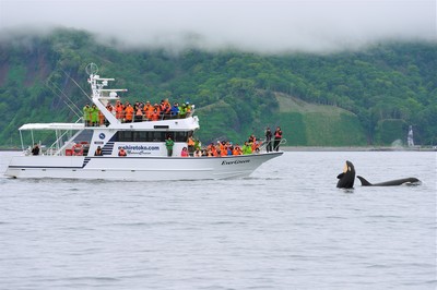 0608-DSC_3419.jpg