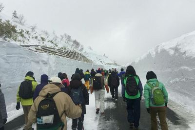 1523164820247-thumbnail2.jpg