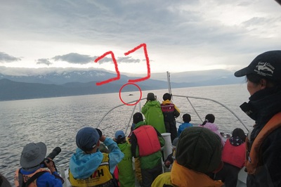 1529828569359.jpg