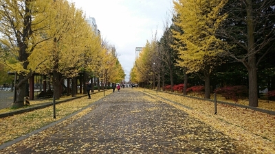 1541756227050.jpg