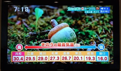 1566254222937.jpg
