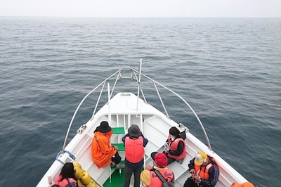 DSC_0012.jpg