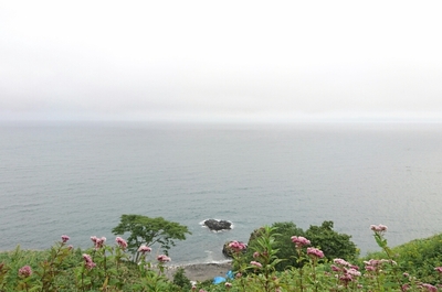 DSC_0074.jpg