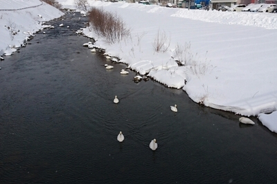 DSC_0081.jpg