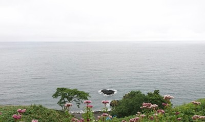 DSC_0085.jpg