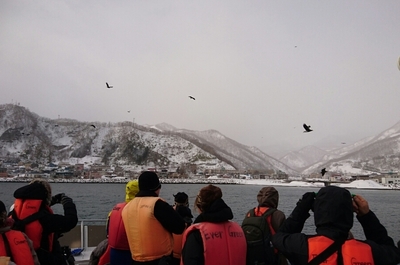 DSC_0087.jpg