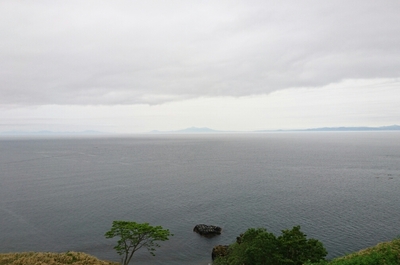 DSC_0095.jpg