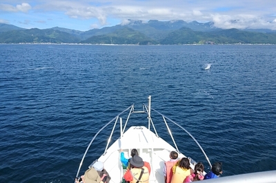 DSC_0113.jpg