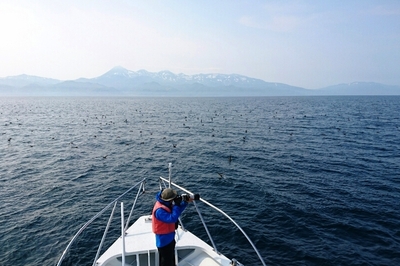 DSC_0114.jpg