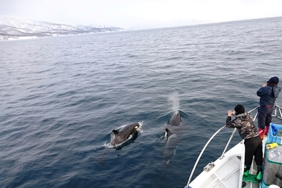 DSC_0120.jpg