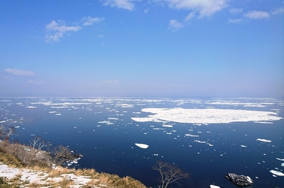 DSC_0130.JPG