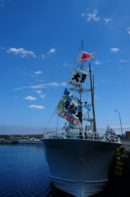 DSC_0131.jpg