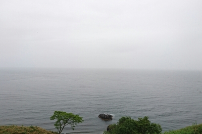 DSC_0163.jpg