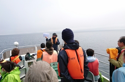 DSC_0167.jpg