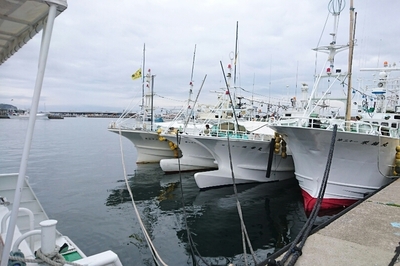 DSC_0239.jpg