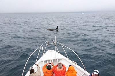 DSC_0259.jpg
