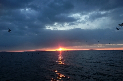 DSC_0304.jpg