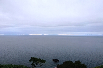 DSC_0323.jpg