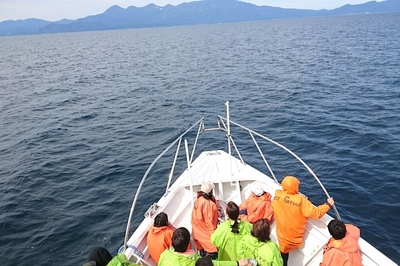 DSC_0342.jpg