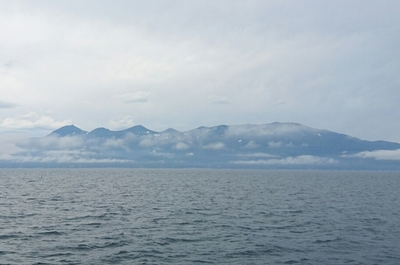 DSC_0350.jpg