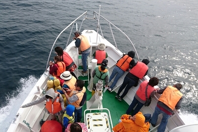 DSC_0368.jpg