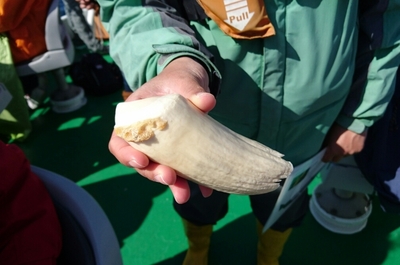 DSC_0377.jpg