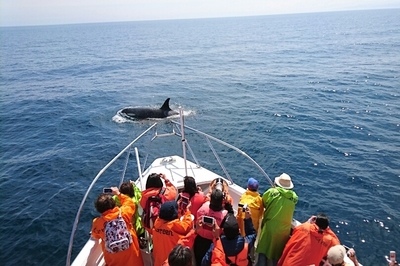 DSC_0408.jpg