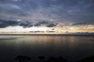 DSC_0434.jpg