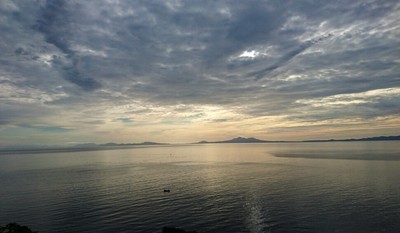 DSC_0442.jpg