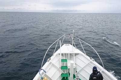 DSC_0481.jpg