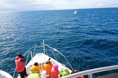 DSC_0529.jpg