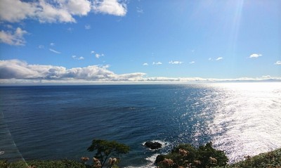DSC_0649.jpg