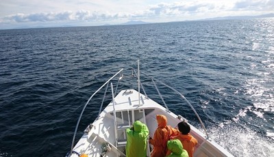 DSC_0810.jpg
