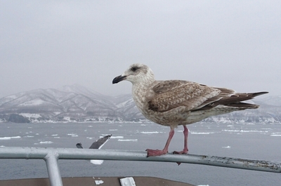 DSC_0935.jpg