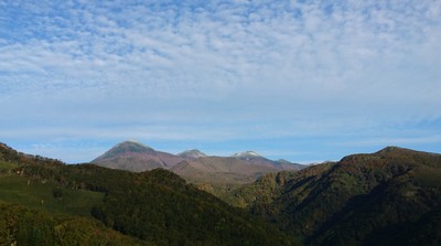 DSC_0944_1.jpg