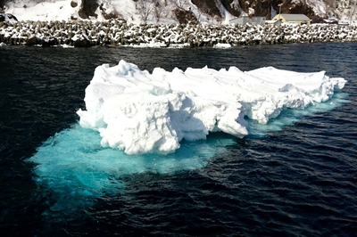 DSC_0980.jpg