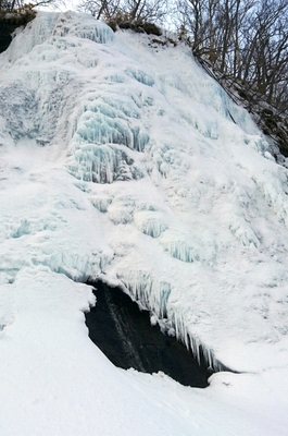 DSC_0997.jpg