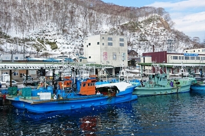 DSC_1017.jpg
