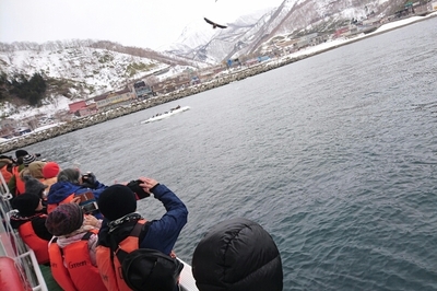DSC_1137.jpg