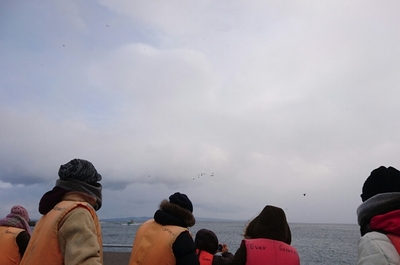 DSC_1258.jpg