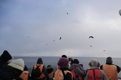 DSC_1289.jpg