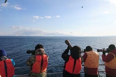 DSC_1296.jpg