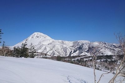 DSC_1299.jpg