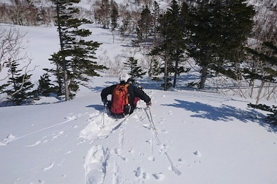 DSC_1303 (1).jpg