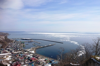 DSC_1382.jpg