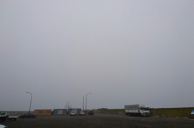 DSC_1393.jpg