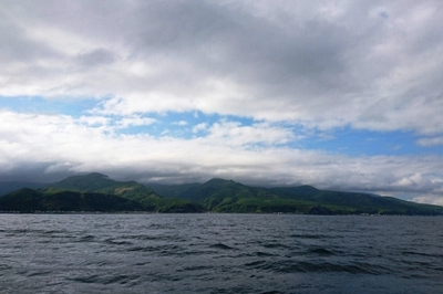 DSC_1396.jpg